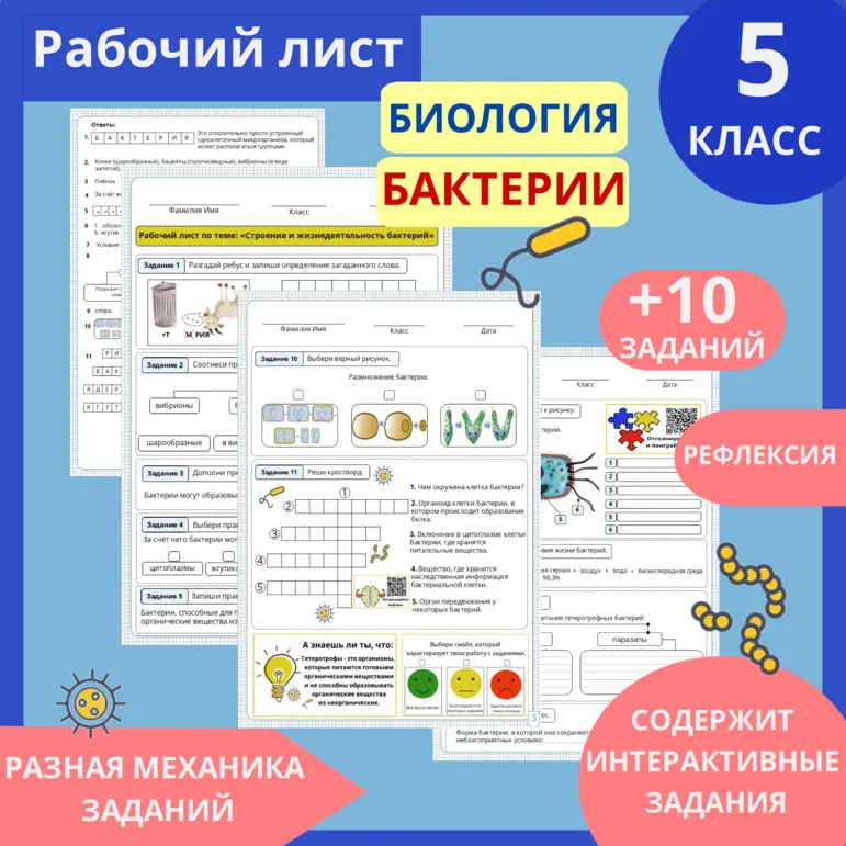 Рабочий лист: 