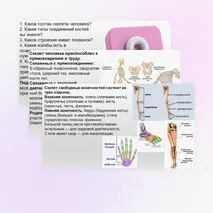 Презентация Скелет человека, строение его отделов и функции