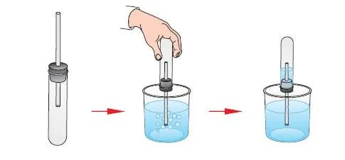 http://chemistry.150shelkovo011.edusite.ru/images/olya8.jpg