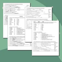 Рабочие листы «Контрольная работа по английскому языку 10 класс, модуль 3, Spotlight»