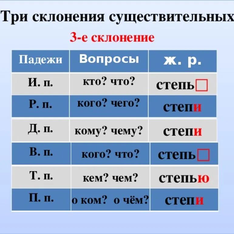 « Падеж и три склонения имён существительных»