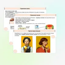 Презентация «Как устроены и работают органы чувств».
