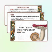 Презентация 