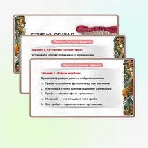 Презентация 
