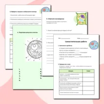Рабочий лист по биологии на тему 