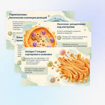 Презентация 