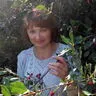 Любовникова Евгения Владимировна