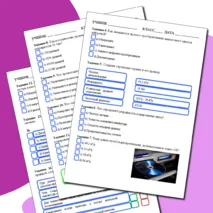 Рабочий лист по информатике на тему 