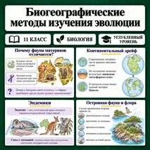 Презентация по биологии 