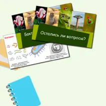 Презентация 