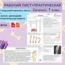 Рабочий лист 