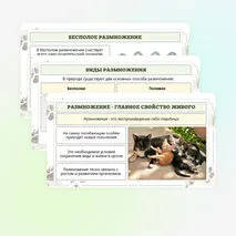 Презентация по биологии «Формы размножения животных»