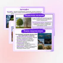 Презентация по биологии «Направления и пути макроэволюции» для 11 класса