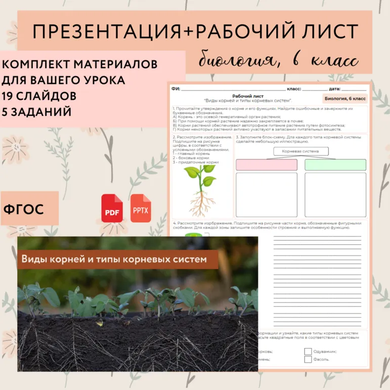«Виды корней и типы корневых систем», 6 класс