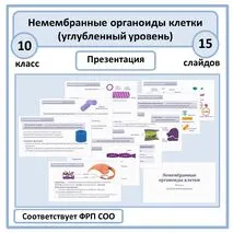 Презентация по биологии «Немембранные органоиды клетки» 10 класс (углубленный уровень)