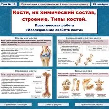 Презентация по биологии (9 класс) 