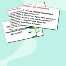 Презентация по окружающему миру «Что мы знаем о растениях? Что общего у разных растений?» 1 класс.