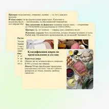 Презентация «Жиры: гидролиз, применение, биологическая роль жиров»
