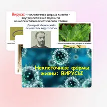 Презентация по биологии 