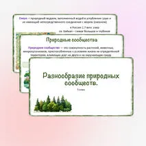 Презентация «Разнообразие природных сообществ», 5 класс