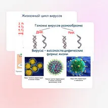 Презентация по биологии 