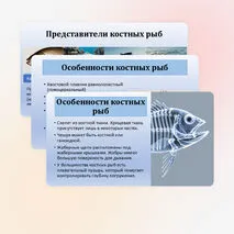 Презентация по биологии «Хрящевые и костные рыбы» 8 класс