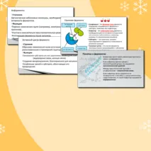 Презентация по биологии. 10 класс. Тема: «Ферменты – биологические катализаторы».
