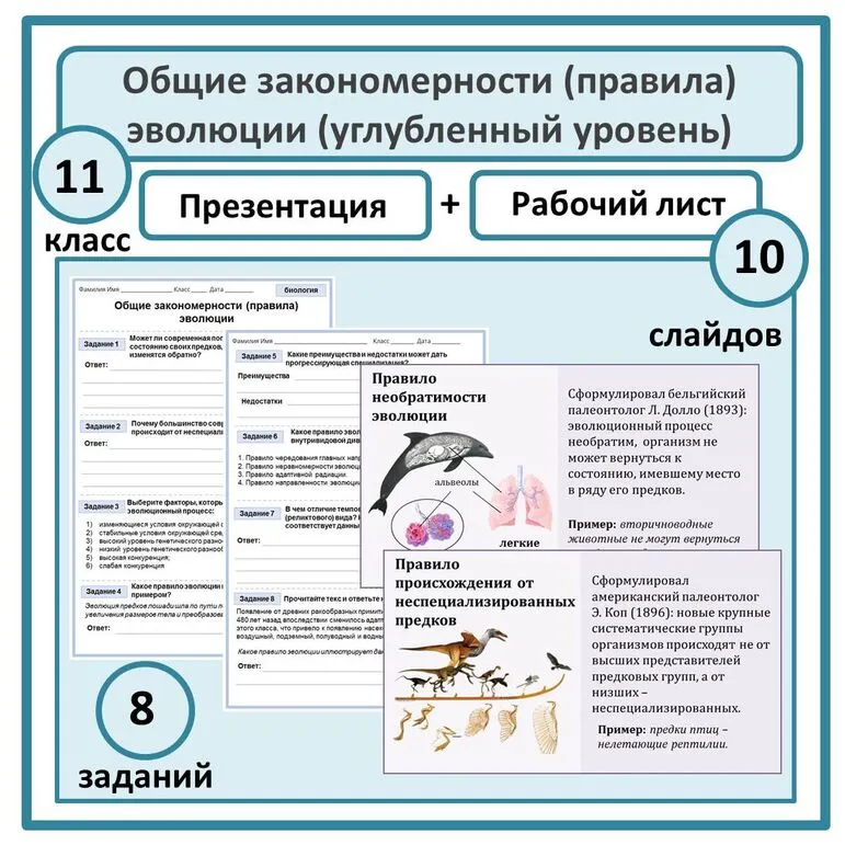 Презентация + рабочий лист по биологии 