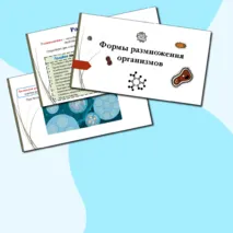 Презентация по биологии 