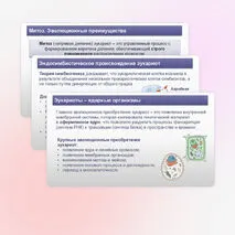 Презентация «Эволюция эукариот» 11 класс (углубленный уровень)