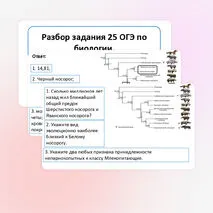 Презентация «Разбор задания 25 ОГЭ по биологии».