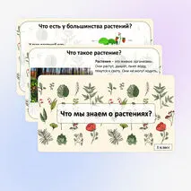 Презентация «Что мы знаем о растениях? Что общего у разных растений?» по окружающему миру, 1 класс