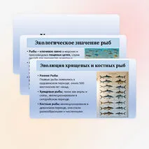 Презентация по биологии «Хрящевые и костные рыбы» 8 класс