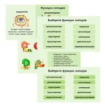 Презентация по биологии 