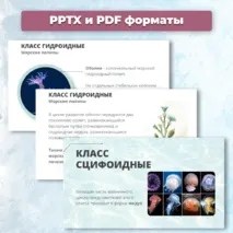 Презентация «Многообразие кишечнополостных» к учебнику по биологии для 7 класса- Пасечник В.В., Суматохин С.В. и др.