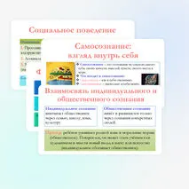 Презентация по обществознанию для 10 класса на тему: Общественное и индивидуальное сознание. Самосознание и социальное поведение.
