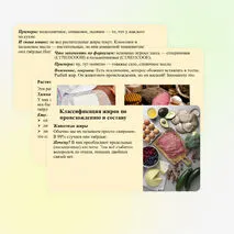 Презентация «Жиры: гидролиз, применение, биологическая роль жиров»