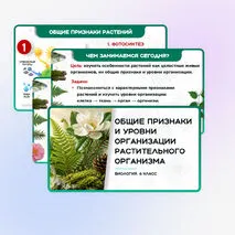 Презентация 