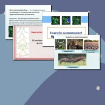 Презентация по биологии. 11 класс. Тема: «Естественный отбор и его формы».