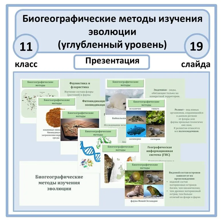 Презентация по биологии 