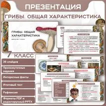 Презентация 