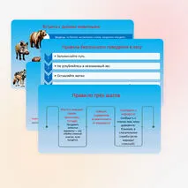 Презентация 