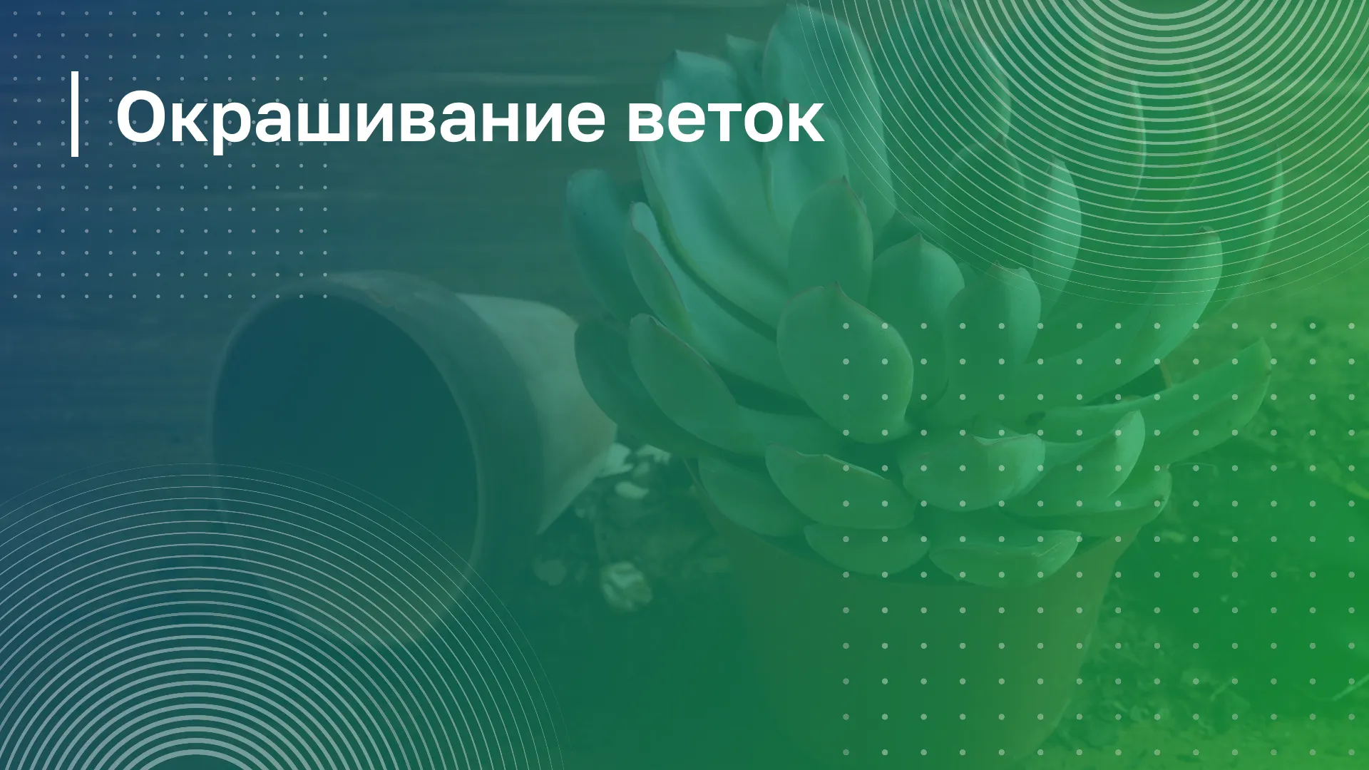 Обложка курса