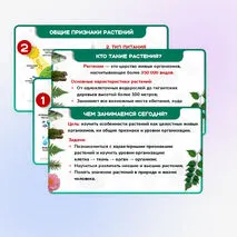 Презентация 