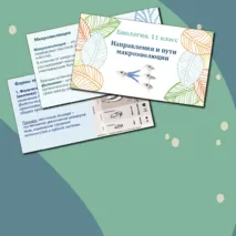 Презентация по биологии. 11 класс. Тема: «Направления и пути макроэволюции».