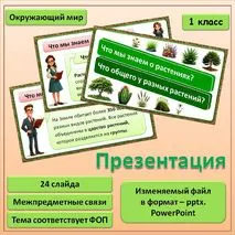 Презентация к уроку по Окружающему миру 1 класс «Что мы знаем о растениях? Что общего у разных растений?»