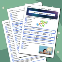 Рабочий лист по информатике на тему 