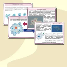 Презентация по биологии на тему 