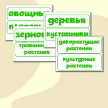 Дидактическая игра 