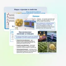 Презентация по биологии «Углеводы. Липиды» для 10 класса
